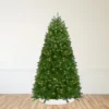 Northlight Pre-Lit Full Northern Pine Artificial Commercial Christmas Tree - 14' - Clear Lights 1 Northlight Pre-Lit Full Northern Pine Artificial Commercial Christmas Tree - 14' - Clear Lights -Northlight GUEST 03b552fd 46f2 4b06 b492 8accfc1b7161