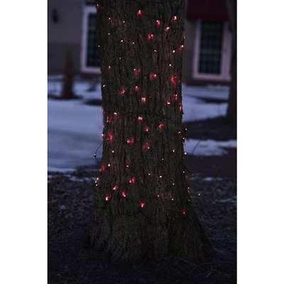Northlight Mini Net Style Incandescent Christmas Lights - 2' X 8' - Red - Brown Wire 4 Northlight Mini Net Style Incandescent Christmas Lights - 2' X 8' - Red - Brown Wire - Image 2