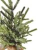 Northlight Frosted Pine Tree With Natural Jute Base Christmas Decoration - 13.25" 1 Northlight Frosted Pine Tree With Natural Jute Base Christmas Decoration - 13.25" -Northlight GUEST 08e2ab0d 85f8 4414 ba96 6a7e160f2ae5