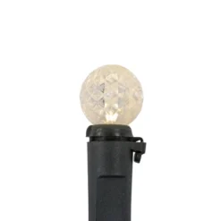 Northlight LED G12 Berry Christmas Lights - Warm White - 16' Black Wire - 50 Ct -Northlight GUEST 0a8e35d8 f617 4583 ad5d 055c837ea35a