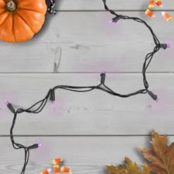 Northlight Wide Angle LED Christmas Lights - Purple - 16' Black Wire - 50ct