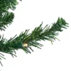 Northlight Pre-Lit Pencil Northern Balsam Fir Artificial Christmas Tree - 6' - Warm Clear LED Lights 2 Northlight Pre-Lit Pencil Northern Balsam Fir Artificial Christmas Tree - 6' - Warm Clear LED Lights -Northlight GUEST 1d297d18 e51d 4ad4 8172 55700d06c93b