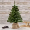 Northlight 1.5 FT Potted Downswept Mini Village Pine Medium Artificial Christmas Tree, Unlit 2 Northlight 1.5 FT Potted Downswept Mini Village Pine Medium Artificial Christmas Tree, Unlit -Northlight GUEST 25e771b0 5b3d 4a24 9081 20c3d01c4d96