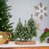 Northlight Icy Downswept Pine Trio Of Trees Christmas Decoration - 8" - Unlit -Northlight GUEST 279b0919 8ab6 4783 82de 68e58455856d