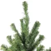 Northlight Canadian Pine Medium Artificial Christmas Tree - 5' - Unlit -Northlight GUEST 2c7a7082 d7ac 40f4 8d30 a0bc23e31db0