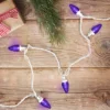 Northlight 25 Count Purple LED C7 Christmas Lights, 16 Ft White Wire 2 Northlight 25 Count Purple LED C7 Christmas Lights, 16 Ft White Wire -Northlight GUEST 2d77565e 37e8 4900 9018 954a447b195b