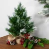 Northlight Whitecap Pine Artificial Mini Christmas Tree - 14" - Unlit 2 Northlight Whitecap Pine Artificial Mini Christmas Tree - 14" - Unlit -Northlight GUEST 2e596226 f29c 41f0 a47a 95292ed20371
