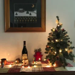 Northlight Mini Christmas Light Set -Clear - 4' Green Wire - 20ct -Northlight GUEST 3093eb63 6fa3 4483 b174 680674649cb2