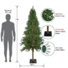 Northlight Pre-Lit Medium Alpine Artificial Christmas Tree - 7' - Clear Lights -Northlight GUEST 356ac3b7 cd5a 402a a5fc f6cb1099d337