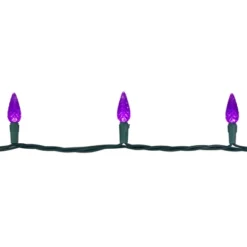 Northlight 70-Count Purple LED Faceted C6 Christmas Lights Set, 23 Ft Green Wire -Northlight GUEST 42aa377a 44db 41bb a70e c55f93c68dec