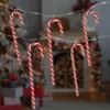 Northlight LED Micro Fairy Candy Cane Christmas Lights - 3' Clear Wire - 10ct 1 Northlight LED Micro Fairy Candy Cane Christmas Lights - 3' Clear Wire - 10ct -Northlight GUEST 42da333a 856d 4e6c 8de6 5d49018360f3