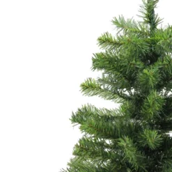 Northlight Medium Canadian Pine Artificial Christmas Tree - 2' - Unlit 7 Northlight Medium Canadian Pine Artificial Christmas Tree - 2' - Unlit -Northlight GUEST 443e8344 85b4 4aa5 b0a7 1254c8c8b751