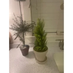 Northlight 1.4 FT Upswept Frosted Cedar Artificial Christmas Tree - Unlit -Northlight GUEST 4c5aa6a2 a6e3 4335 ab93 bfbe41a4afa2