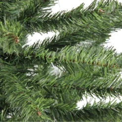 Northlight Canadian Pine Medium Artificial Christmas Tree - 5' - Unlit 8 Northlight Canadian Pine Medium Artificial Christmas Tree - 5' - Unlit -Northlight GUEST 58a90d50 5096 4b72 9832 140dc2486b13