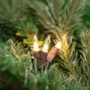 Northlight Mini Incandescent Christmas Lights - Clear - 4' Brown Wire - 20ct 2 Northlight Mini Incandescent Christmas Lights - Clear - 4' Brown Wire - 20ct -Northlight GUEST 5a06ba21 866f 4d2b 983b 0f152cb9f4c4 5