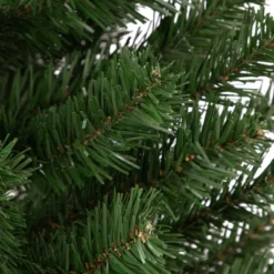 Northlight Blackwater Fir Medium Artificial Christmas Tree - 3' - Unlit -Northlight GUEST 5edfa430 c663 47c7 bbb0 754f83d22568