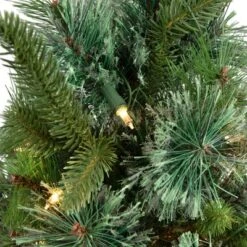 Northlight Pre-Lit Full Ashcroft Cashmere Pine Artificial Christmas Tree - 3' - Clear AlwaysLit Lights -Northlight GUEST 60600893 c1f3 4735 b3b8 895741a0fc48