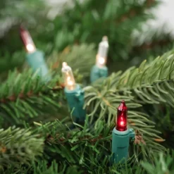 Northlight Mini Incandescent Christmas Lights - Red And Clear - 10' Green Wire - 50ct -Northlight GUEST 647f8384 a08a 4fa3 8429 21df6d862d70 1