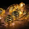 Northlight Battery Operated Metal Ball Christmas Lights - Warm White LED - 6.25' Clear Wire - 10ct 1 Northlight Battery Operated Metal Ball Christmas Lights - Warm White LED - 6.25' Clear Wire - 10ct -Northlight GUEST 6624ff97 ce2c 4d41 9b6f 64a1c2d36950