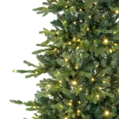 Northlight Real Touch™ Elite Pre-Lit Breckenridge Pine IPT Artificial Christmas Tree - 6' Dual Color LED 17 Northlight Real Touch™ Elite Pre-Lit Breckenridge Pine IPT Artificial Christmas Tree - 6' Dual Color LED -Northlight GUEST 666c3f69 3b5d 4ffc 9fab d4a23ddeea9a