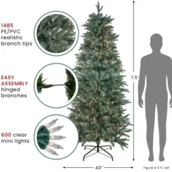 Northlight Real Touch™️ Pre-Lit Washington Frasier Fir Slim Artificial Christmas Tree - 7.5' - Clear Lights -Northlight GUEST 6c7072f5 8401 43ab 9e4b d2dc8cb5368c