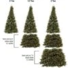 Northlight Pre-Lit Extend-A-Tree Adjustable Artificial Christmas Tree - 6' To 9' - Clear Lights -Northlight GUEST 72eb7300 03b4 4106 92d4 008548e3547b