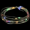 Northlight 20-Count Multi-color LED Micro Fairy Christmas Lights - 6ft, Copper Wire -Northlight GUEST 73e76a58 4642 4cc2 9375 691a25029e0a