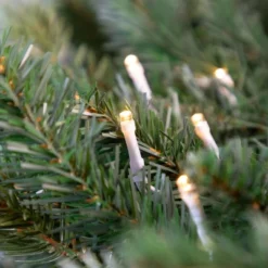 Northlight Battery Operated Wide Angle LED Christmas Lights - Warm White - 9.5' White Wire - 20ct -Northlight GUEST 76a95a72 a0cb 4334 8fce 52458561a2a2