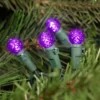 Northlight LED G12 Berry Mini Christmas Lights - Purple - 15.9' - Green Wire - 50ct 2 Northlight LED G12 Berry Mini Christmas Lights - Purple - 15.9' - Green Wire - 50ct -Northlight GUEST 78e6b5b7 d0e5 4589 8d9b 6abc8e89ed52