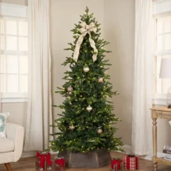 Northlight Real Touch™ Elite Pre-Lit Breckenridge Pine IPT Artificial Christmas Tree - 6' Dual Color LED 16 Northlight Real Touch™ Elite Pre-Lit Breckenridge Pine IPT Artificial Christmas Tree - 6' Dual Color LED -Northlight GUEST 8107492f 343b 4025 b6f8 a9c80f1c8e06
