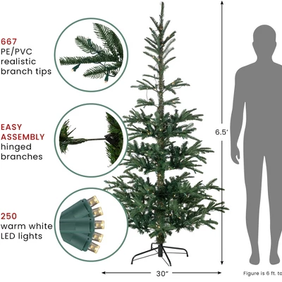 Northlight Real Touch™️ Pre-Lit Pencil Nordmann Fir Artificial Christmas Tree - 6.5' - Warm Clear LED Lights 8 Northlight Real Touch™️ Pre-Lit Pencil Nordmann Fir Artificial Christmas Tree - 6.5' - Warm Clear LED Lights - Image 6