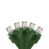 Northlight LED Wide Angle Christmas Lights - Warm White - 9.5' Green Wire - 20ct -Northlight GUEST 8accecbc 1bae 44a8 b2c8 2584e12aa696