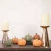 Northlight Set Of 6 Boxed Orange And Green Pumpkin Thanksgiving Decorations 2 Northlight Set Of 6 Boxed Orange And Green Pumpkin Thanksgiving Decorations -Northlight GUEST 8ffc2bcf d939 4393 b55a 31a9da2da5a6