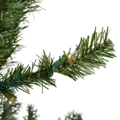 Northlight 3' Prelit Artificial Christmas Tree Canadian Pine - Multicolor Lights
