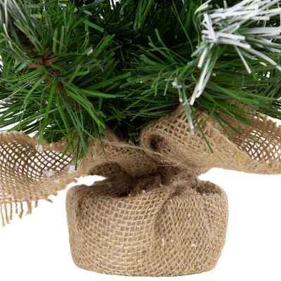 Northlight Whitecap Pine Artificial Mini Christmas Tree - 14" - Unlit 6 Northlight Whitecap Pine Artificial Mini Christmas Tree - 14" - Unlit - Image 4