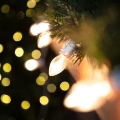 Northlight C7 Christmas String Lights - Clear - 24' White Wire - 25ct 9 Northlight C7 Christmas String Lights - Clear - 24' White Wire - 25ct -Northlight GUEST a29c7fcd 93cb 4513 8f40 4255401f1174