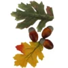 Northlight 10-Piece Fall Harvest Artificial Acorns And Maple Leaves Decoration Set 1 Northlight 10-Piece Fall Harvest Artificial Acorns And Maple Leaves Decoration Set -Northlight GUEST a45ad5ed fb9c 447e bc07 5dc2161a1daf