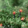 Northlight Battery Operated LED Christmas Lights - Red - 9.5' Green Wire - 20ct -Northlight GUEST b10b13f6 ef86 4e6a a521 6925eb2a063c