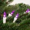 Northlight 50ct LED Mini String Lights Purple - 16.25' White Wire -Northlight GUEST b413cd15 8b70 4359 a83b 1d445094bed1