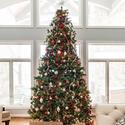 Northlight 10' Prelit Artificial Christmas Tree Full Northern Pine - Multicolor Lights 3 Northlight 10' Prelit Artificial Christmas Tree Full Northern Pine - Multicolor Lights