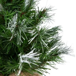 Northlight Whitecap Pine Artificial Mini Christmas Tree - 14" - Unlit 11 Northlight Whitecap Pine Artificial Mini Christmas Tree - 14" - Unlit -Northlight GUEST c45b3fba ff1d 4739 8882 65e6a07340a7