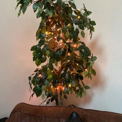 Northlight Mini Christmas Light Set - Pastel Multi-Color - 20' Green Wire - 100ct 12 Northlight Mini Christmas Light Set - Pastel Multi-Color - 20' Green Wire - 100ct - Image 10