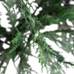 Northlight Pre-Lit Medium Weeping Cedar IPT Artificial Christmas Tree - 6.5' - Dual Color LED Lights 12 Northlight Pre-Lit Medium Weeping Cedar IPT Artificial Christmas Tree - 6.5' - Dual Color LED Lights -Northlight GUEST d1c63646 f460 4a3a 8c6c 8fbb6bfcea87