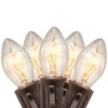 Northlight C7 Christmas String Lights - Clear - 24' Brown Wire - 25ct -Northlight GUEST d861c438 3a88 4a59 a742 22fb444c67b5