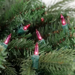Northlight Mini Incandescent Christmas Lights - Pink - 20.25' Green Wire - 100ct -Northlight GUEST dc42bca8 a294 44e3 99cc ea5c43277af6