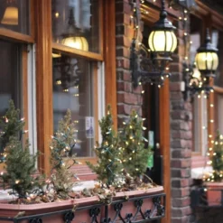 Northlight Incandescent Mini Christmas Lights - Clear - 10' Green Wire - 50ct -Northlight GUEST e4a1fd54 a198 4b16 87b1 7eee5bb69bd1 6