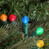 Northlight LED G12 Berry Christmas Lights - Multicolor - 16' Green Wire - 50 Ct -Northlight GUEST e7bb19cb bf62 47f4 8c5c f09014e4e9cd