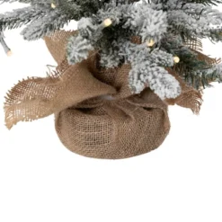 Northlight Real Touch™ Pre-Lit B/O Tamarack Pine Artificial Christmas Tree With Burlap - 2' Warm White LED 12 Northlight Real Touch™ Pre-Lit B/O Tamarack Pine Artificial Christmas Tree With Burlap - 2' Warm White LED -Northlight GUEST e7d34180 7e9d 4837 b522 c67dedd5279c