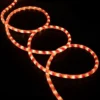 Northlight 18' Red And White Striped Candy Cane Outdoor Christmas Rope Lights -Northlight GUEST e8fa2277 81ad 43d8 ac98 3612882231fe