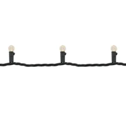 Northlight LED G12 Berry Christmas Lights - Warm White - 16' Black Wire - 50 Ct -Northlight GUEST f3783ebc fb2a 4aa1 9d51 731258914add